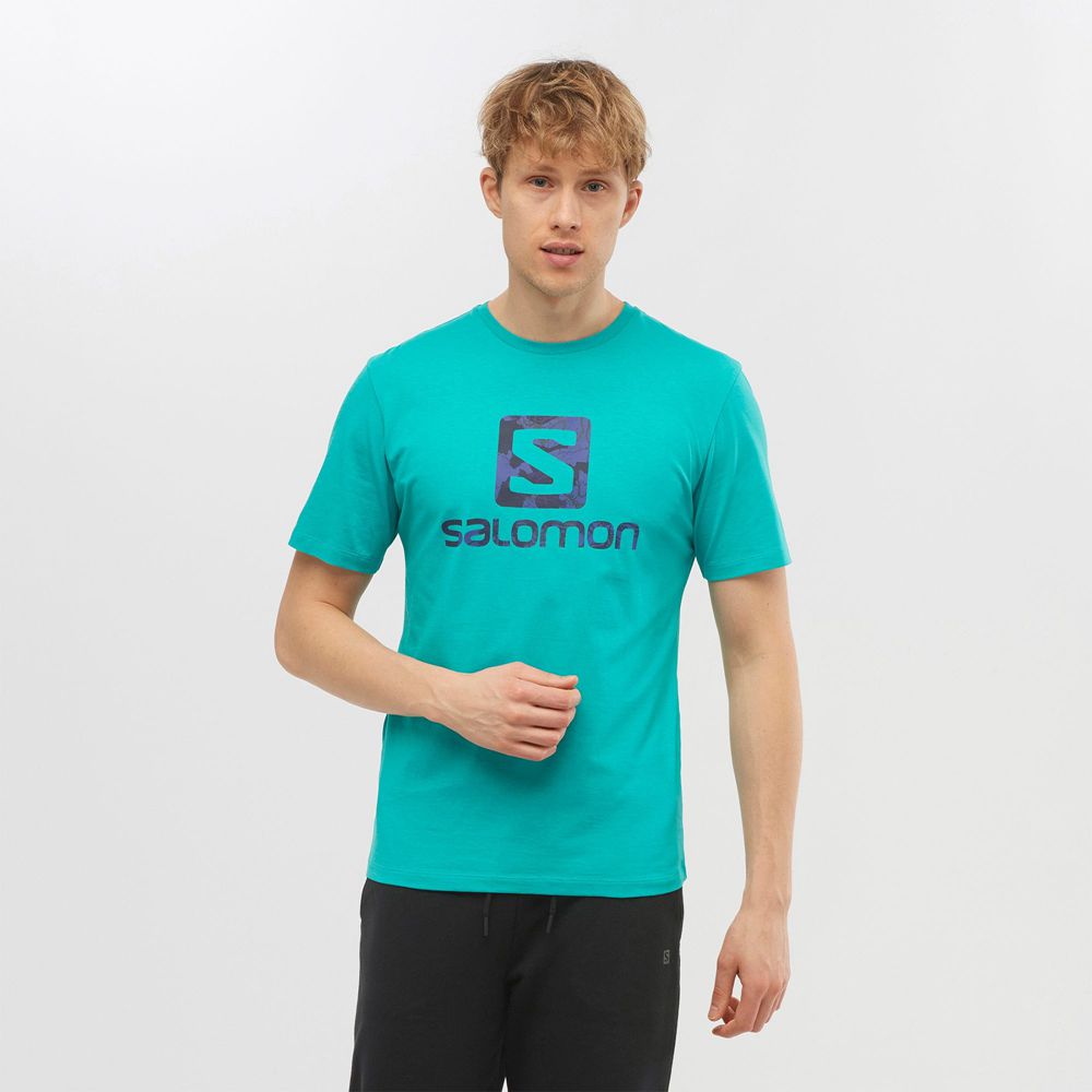 Salomon Singapore Mens T-shirts - OUTLIFE LOGO Mint | 39786-JQDI